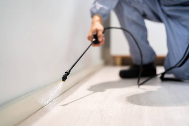 Licensed Termite Control service in Magnolia Springs, AL - Nex Pest Control
