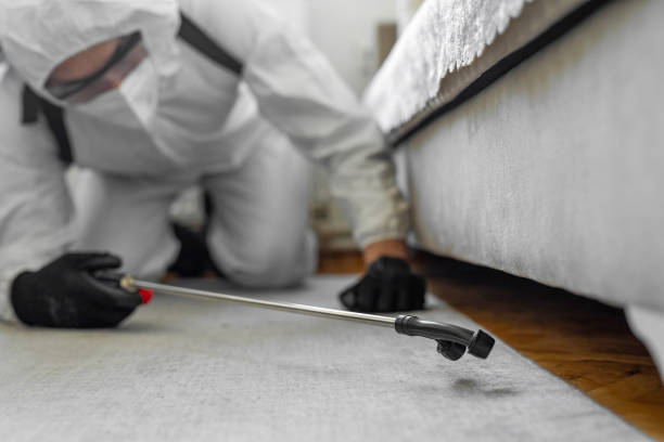 Professional Termite Control technician working in Magnolia Springs, AL