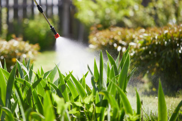 24/7 Emergency Termite Control experts in Magnolia Springs, AL