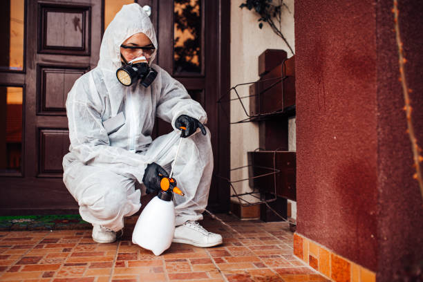 Reliable Termite Control contractor in Magnolia Springs, AL by Nex Pest Control