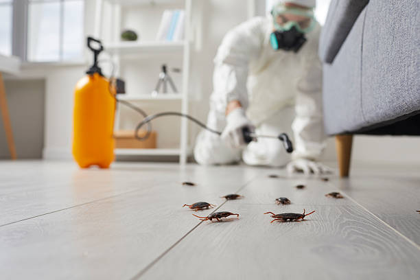 Trusted Termite Control service in Magnolia Springs, AL - Nex Pest Control
