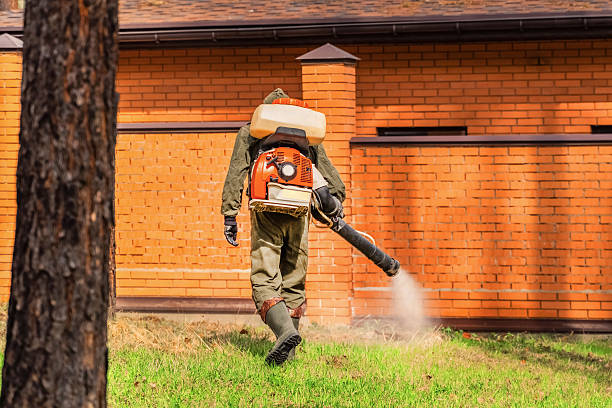 Trusted Cockroach Control service in Magnolia Springs, AL - Nex Pest Control